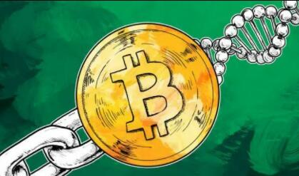 加密货币平台有哪些_比特币买卖交易平台有哪些